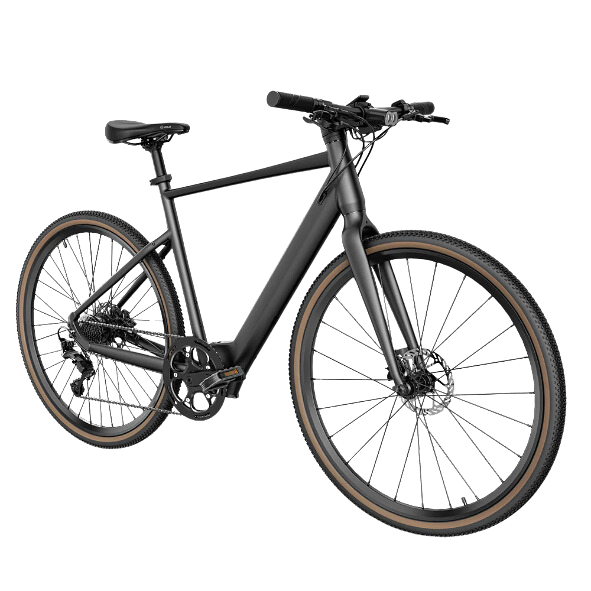 Fiido C21 Light Urban Gravel Elektrofahrrad